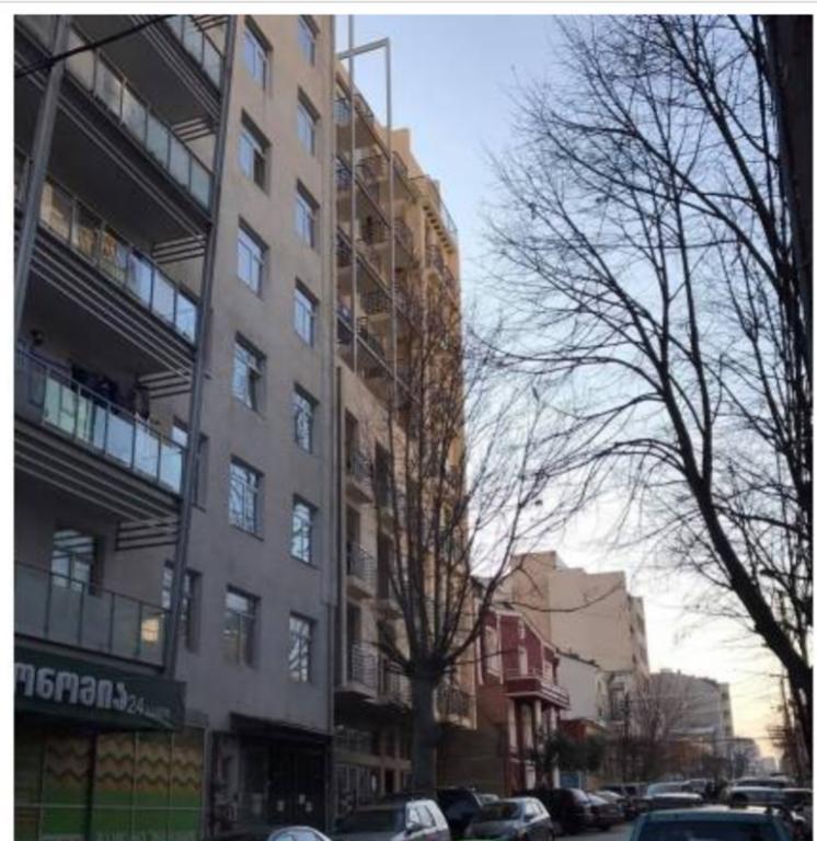 Sophio House In Gagarini Lejlighed Tbilisi Eksteriør billede